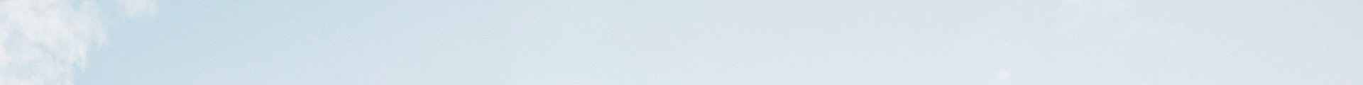 sub-header